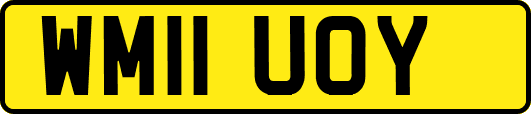 WM11UOY