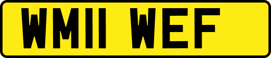WM11WEF