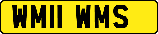 WM11WMS