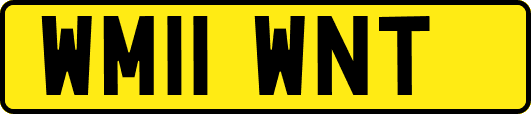 WM11WNT