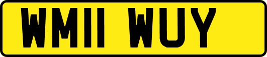 WM11WUY