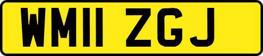 WM11ZGJ
