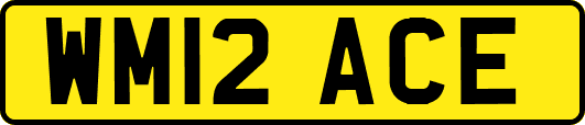 WM12ACE