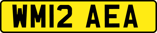 WM12AEA