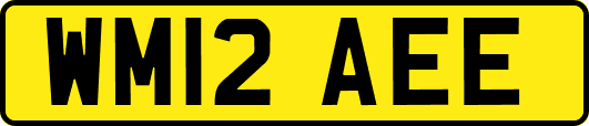 WM12AEE