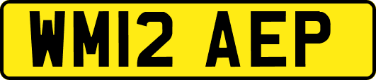 WM12AEP