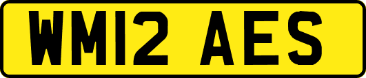 WM12AES