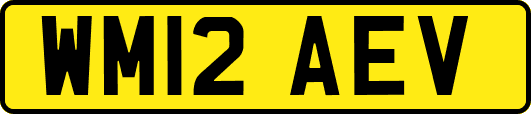 WM12AEV