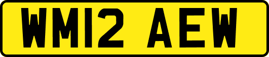 WM12AEW