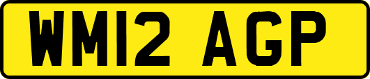 WM12AGP
