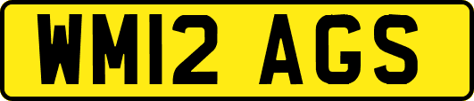 WM12AGS