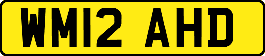 WM12AHD