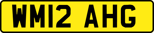 WM12AHG