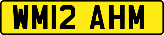 WM12AHM