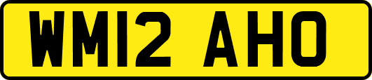 WM12AHO