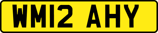 WM12AHY