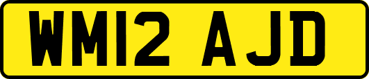 WM12AJD