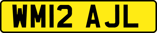 WM12AJL