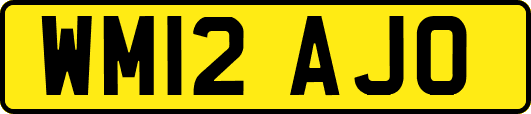 WM12AJO