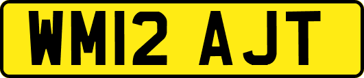 WM12AJT