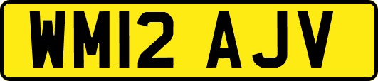 WM12AJV