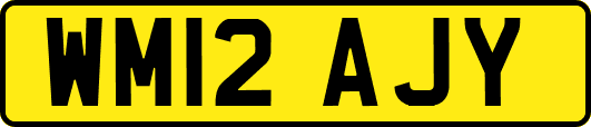WM12AJY