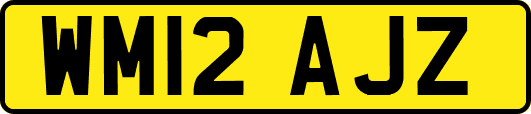 WM12AJZ