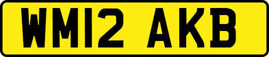 WM12AKB