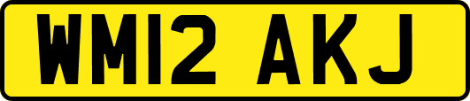WM12AKJ