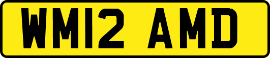 WM12AMD