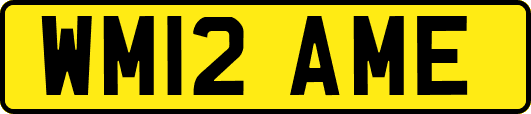 WM12AME