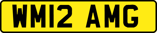 WM12AMG
