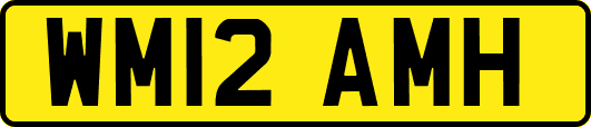 WM12AMH