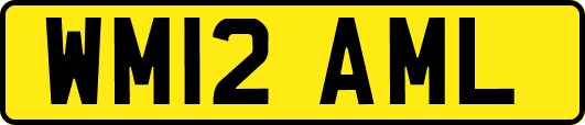 WM12AML