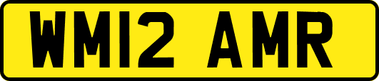 WM12AMR
