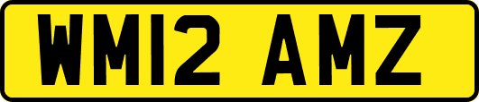 WM12AMZ