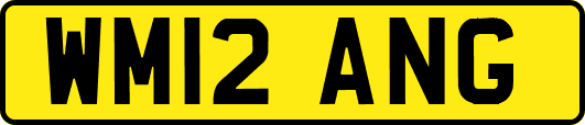 WM12ANG