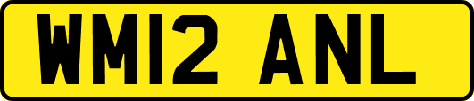 WM12ANL
