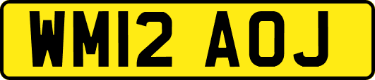 WM12AOJ