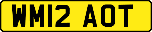 WM12AOT