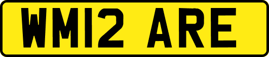 WM12ARE