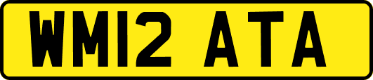 WM12ATA