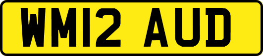 WM12AUD