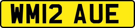 WM12AUE