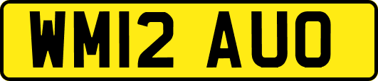 WM12AUO