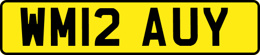 WM12AUY