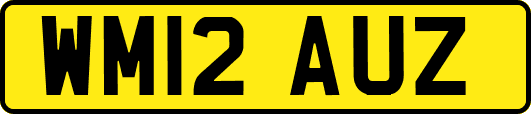WM12AUZ