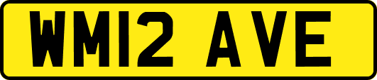 WM12AVE