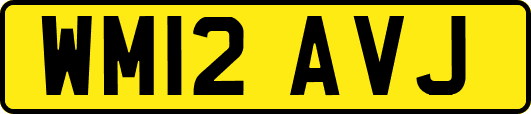 WM12AVJ