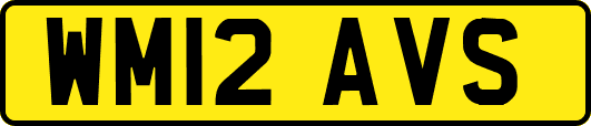 WM12AVS